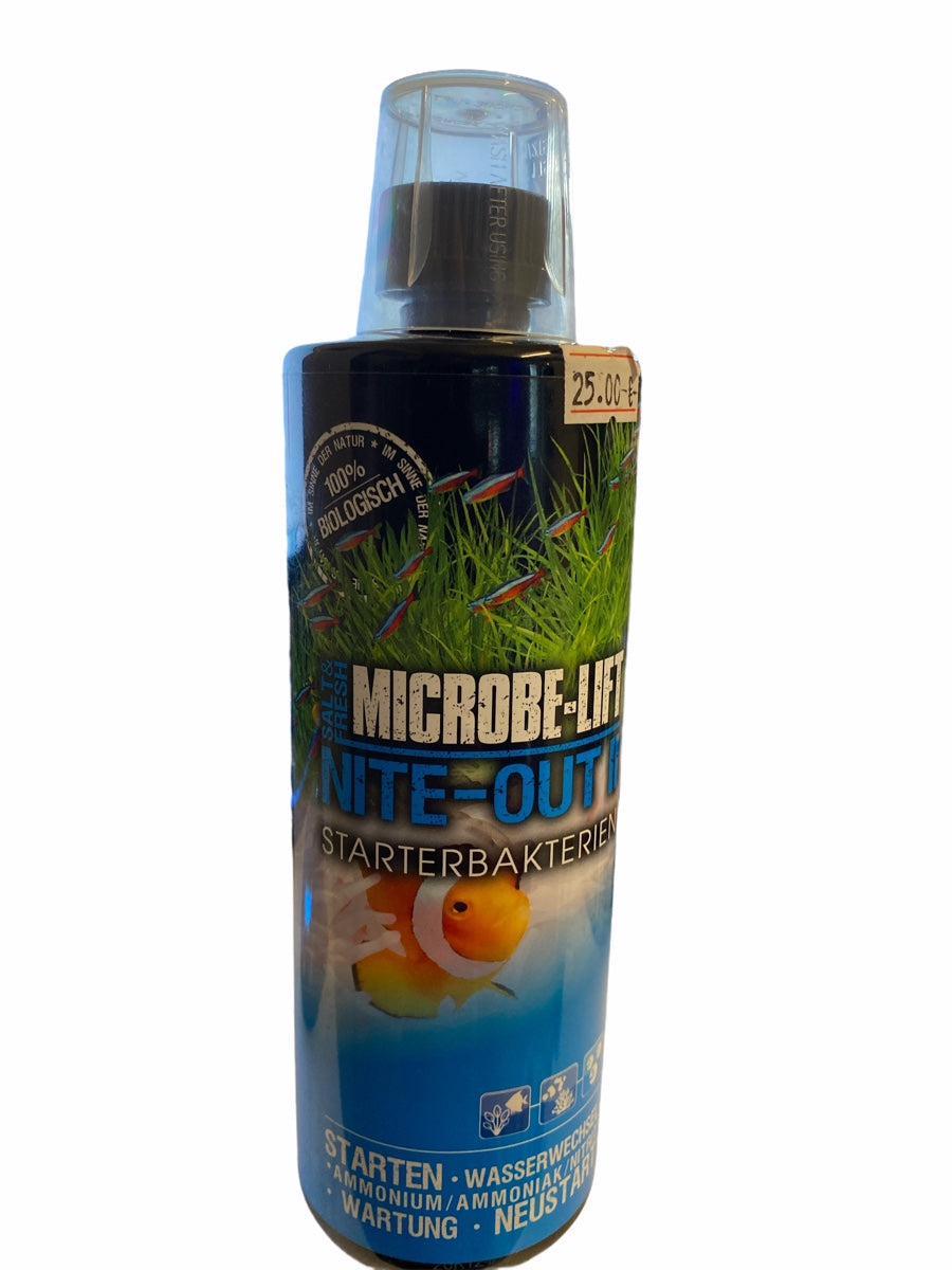 Nite-Out II - Starterbakterien
