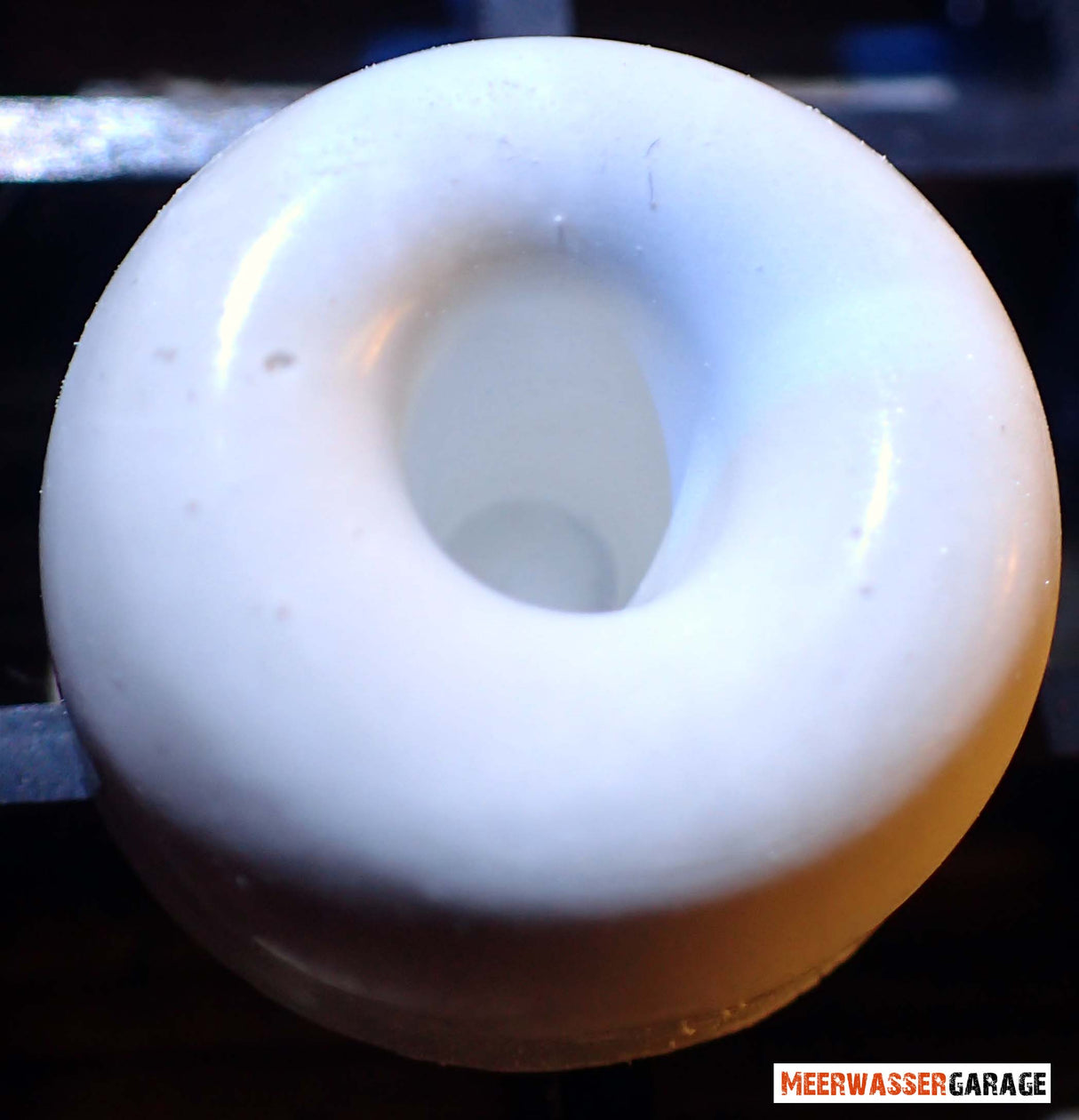 Ablegersteine - Korallen Plug (Donut) aus Weisszement